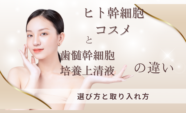 ヒト幹細胞コスメと歯髄幹細胞培養上清液の違い｜選び方と取り入れ方